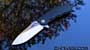 Hinderer Design 0562 M390 CF Model ZT0562CF M390 steel